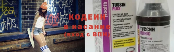 соль ск Арсеньев