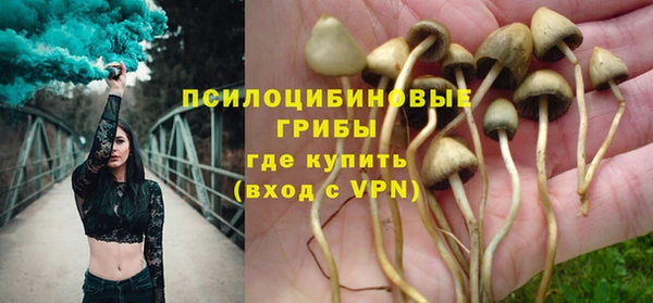 соль ск Арсеньев