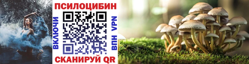 наркота  MEGA ССЫЛКА  Галлюциногенные грибы Psilocybe  Инсар 
